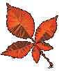 PhotoImpact Index